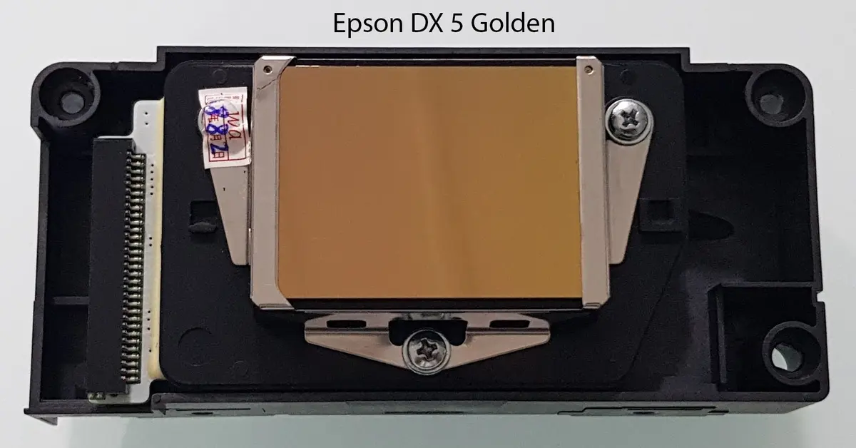 Epson DX5 Golden print head reference image supplied by Rangoli Fab Studio